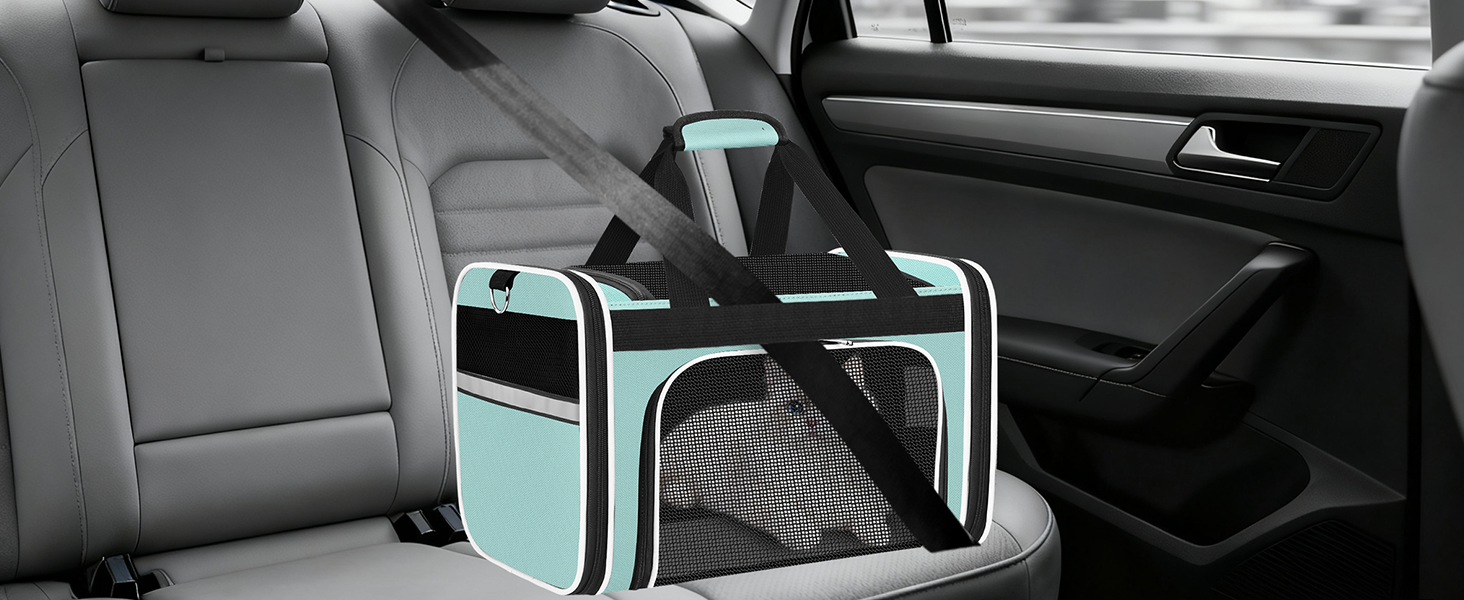 collapsible cat carrier