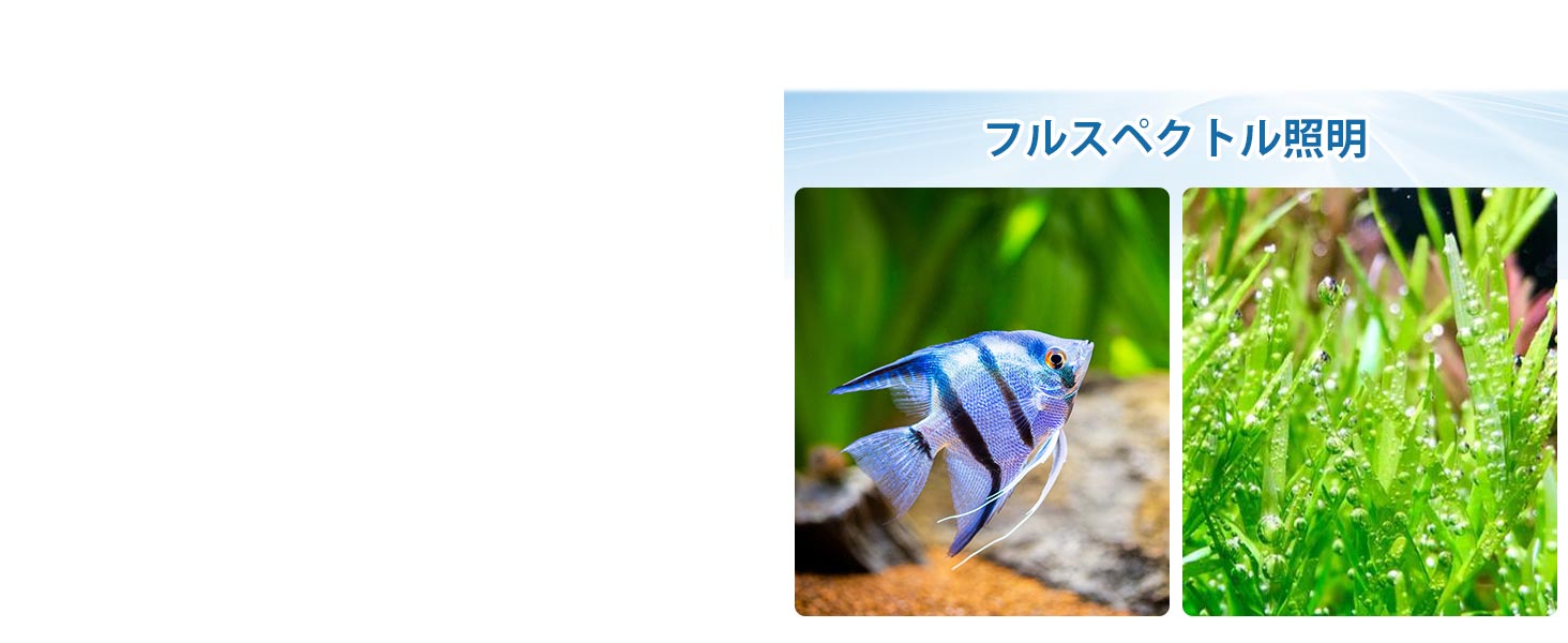 水族館ライト、小型、水族館ライト、水族館ライト、水族館 LED 照明