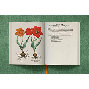 アイヒシュテットの庭園（The Garden at Eichstätt）洋書 Amazon.com: Basilius Besler. The Garden at Eichstätt