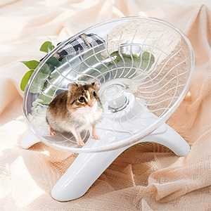 Eine kleine Katze sitzt in einer durchsichtigen Plastikkuppel, die an einem weißen Handsockel befestigt ist. Die Kuppel hat Lüftungsöffnungen und scheint eine Transportbox für Haustiere oder ein temporäres Gehege zu sein