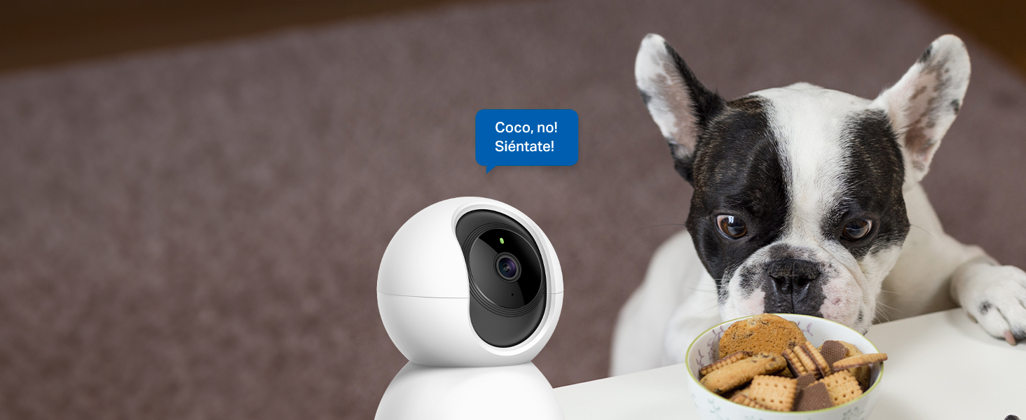 Tapo C200C - Câmara de Vigilância Wi-Fi 360°, 1080p, Visão Noturna, Detecção IA