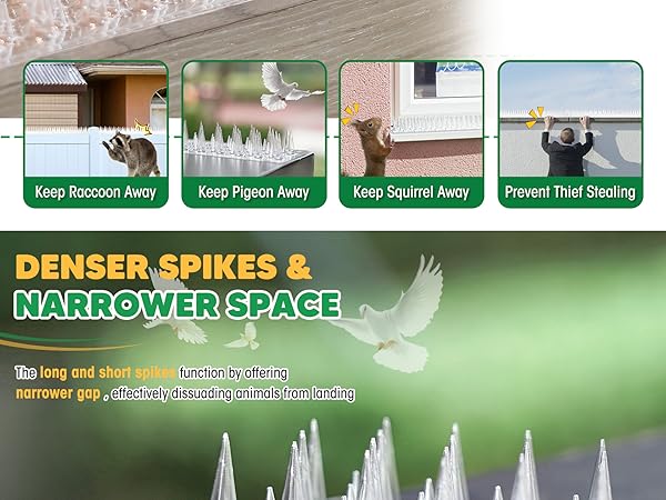  バード　 Dove Amazon | 新品 ホンダ 純正 バイク 部品 トピック フレックス