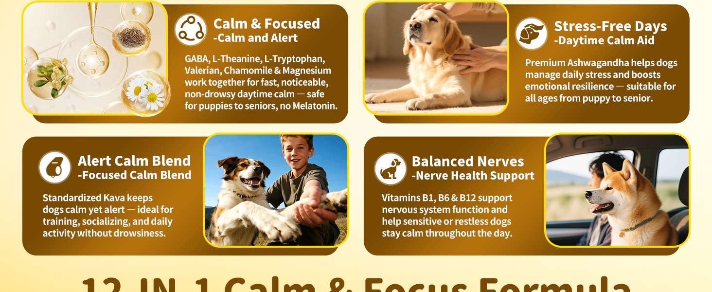 Calming Chews for Dog
