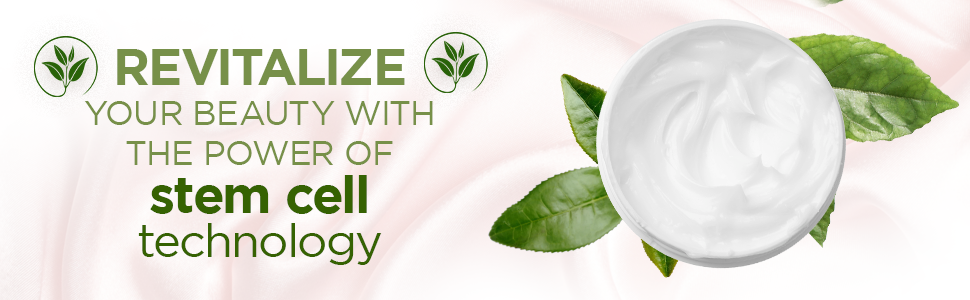 Stem Cell Technology