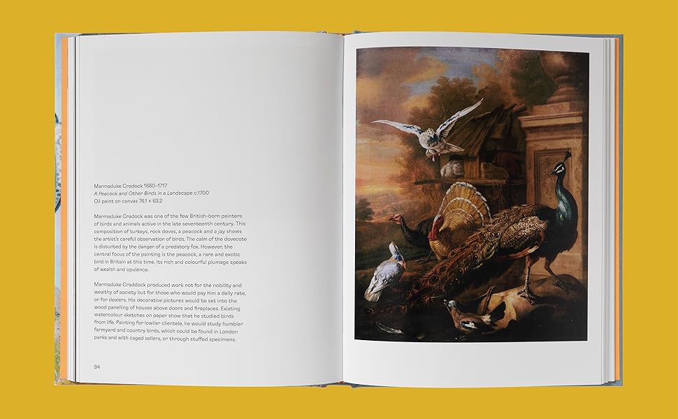 Birds in Art Amazon.co.uk Tim Batchelor 9781849768733 Books