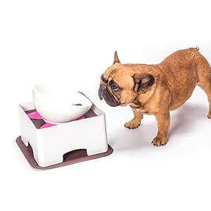 Amazon | ペットテーブル 犬用テーブル 犬用食器台 食事台 お