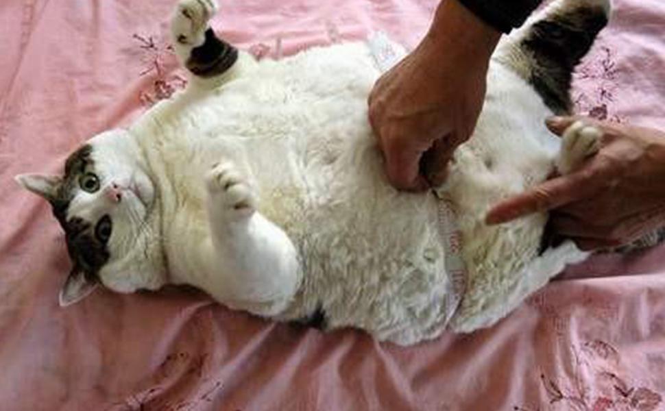 Ruban adhésif rose unique.