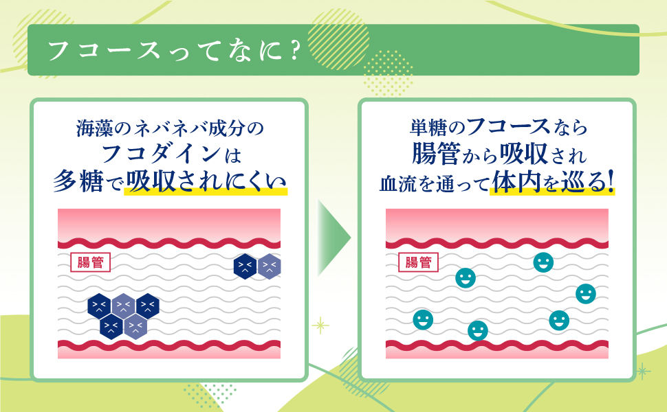 M*n様 NICORIO Fucozy ニコリオ フコジー 93粒入り × １０ Amazon | 機能性表示食品 NICORIO ニコリオ Fucozy フコジー