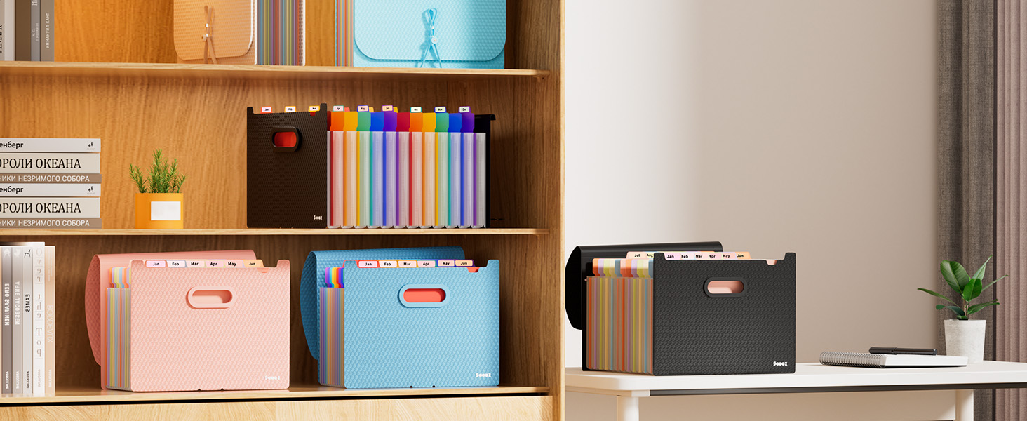 accordion file organizer 12 pocket