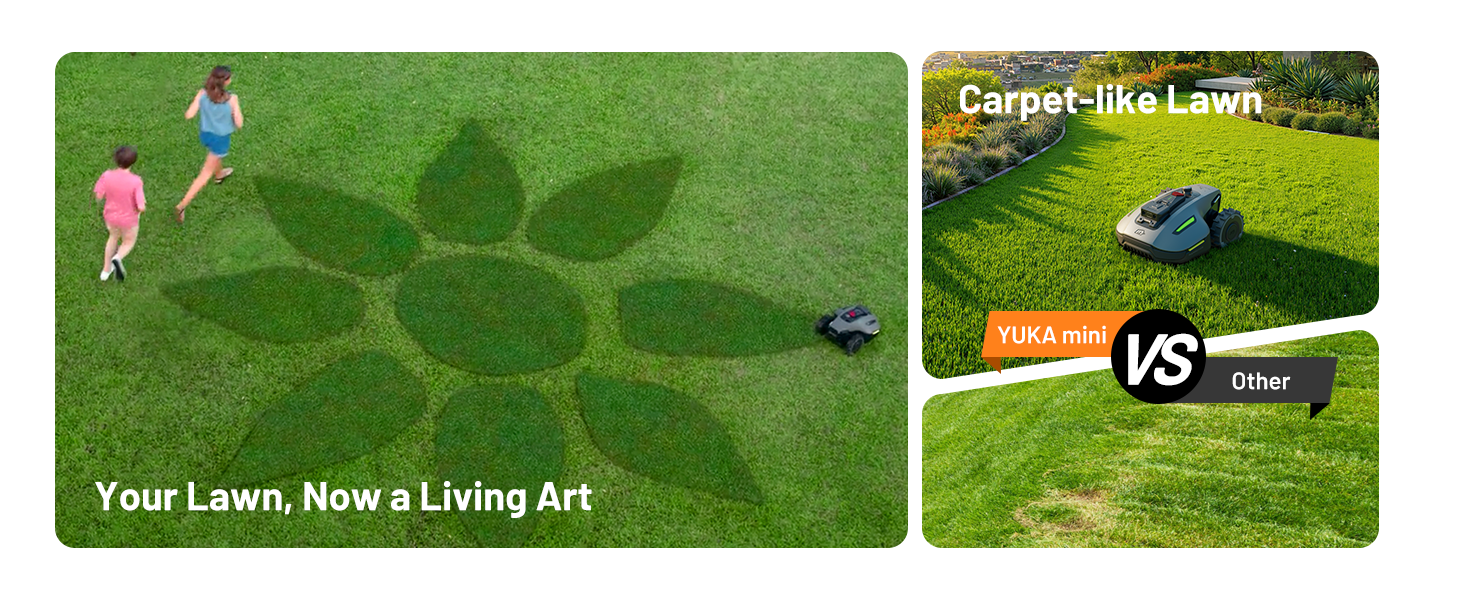Two-panel image of lawn care. Left panel shows green grass with leaf-shaped pattern. Right panel compares 'Carpet-like Lawn' to patchy grass, featuring robotic lawnmower.