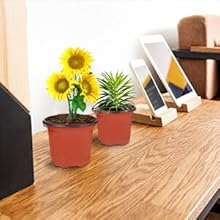 Plastic flowerpots
