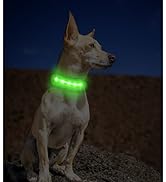 collar LED
