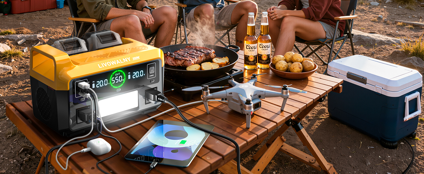 for dewalt battery adapter