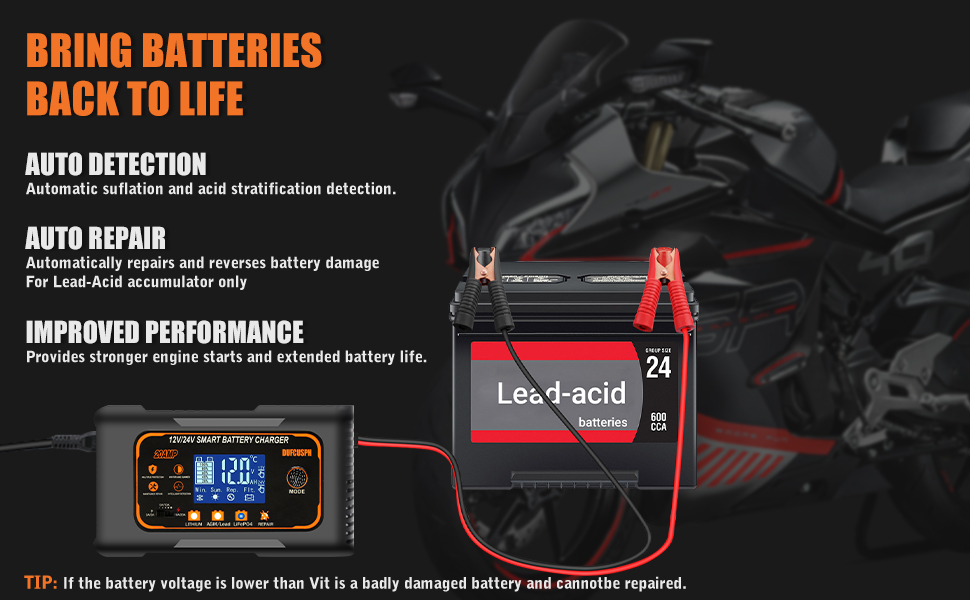 lifepo4 battery charger