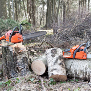 Small manufacture image 5