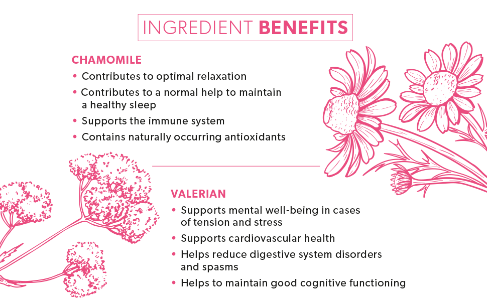 NutraTea Chamomile & Valerian Tea Valerian Root Tea