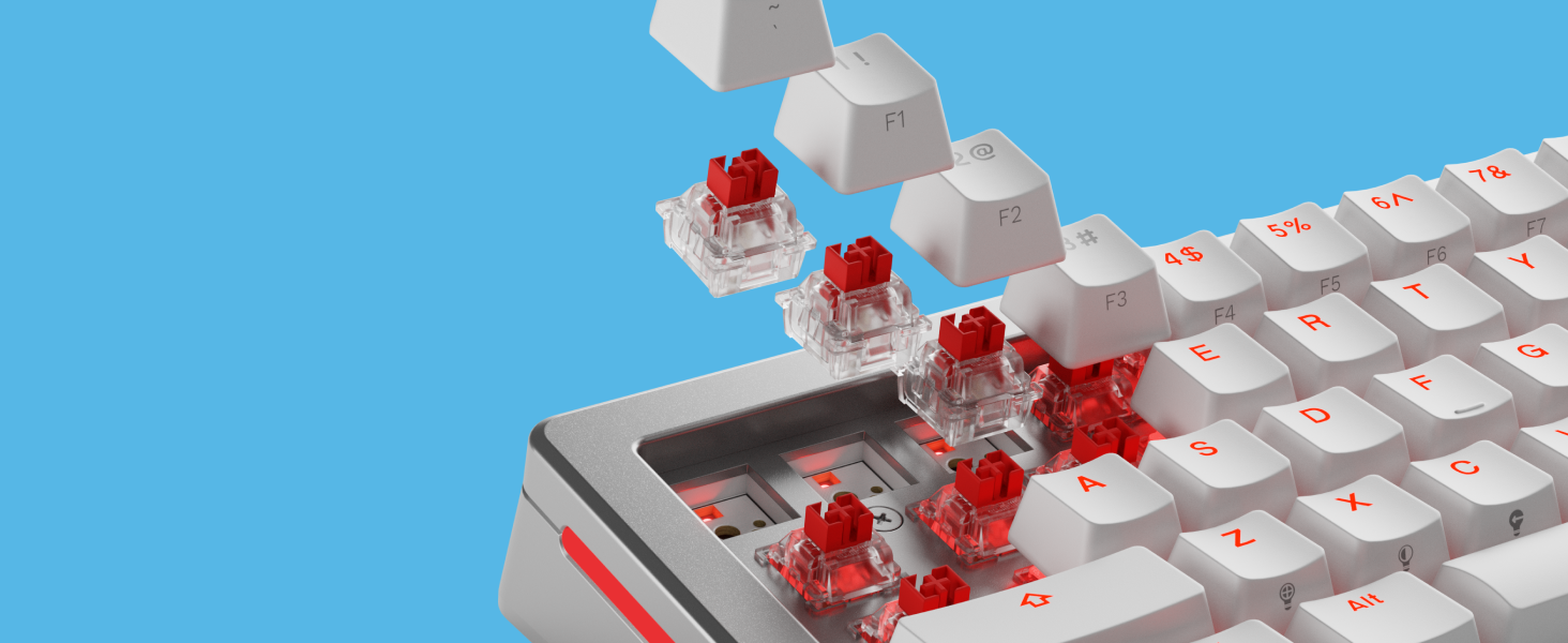 Glorious Gaming Fox Linear Hall Effect Switches