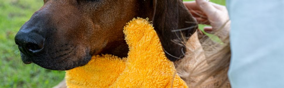 travel gadget, microfaser handtücher, microfiber towel hair, schnelltrocknend reisehandtuch,Hund,Dog