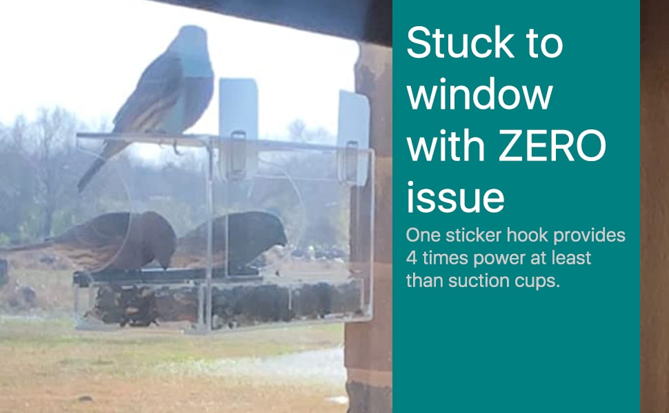 Window Bird Feeder with Removable Seed Tray and Super