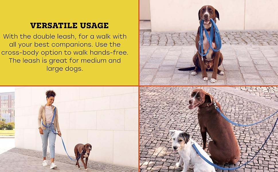 Vitazoo Dog Lead for Training - 3 m - Nylon Graphite Double Leash for Small Medium & Large Dogs - Adjustable Leads up to 4 Different Lengths - Blue 17 frame 4