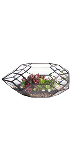 glass terrarium