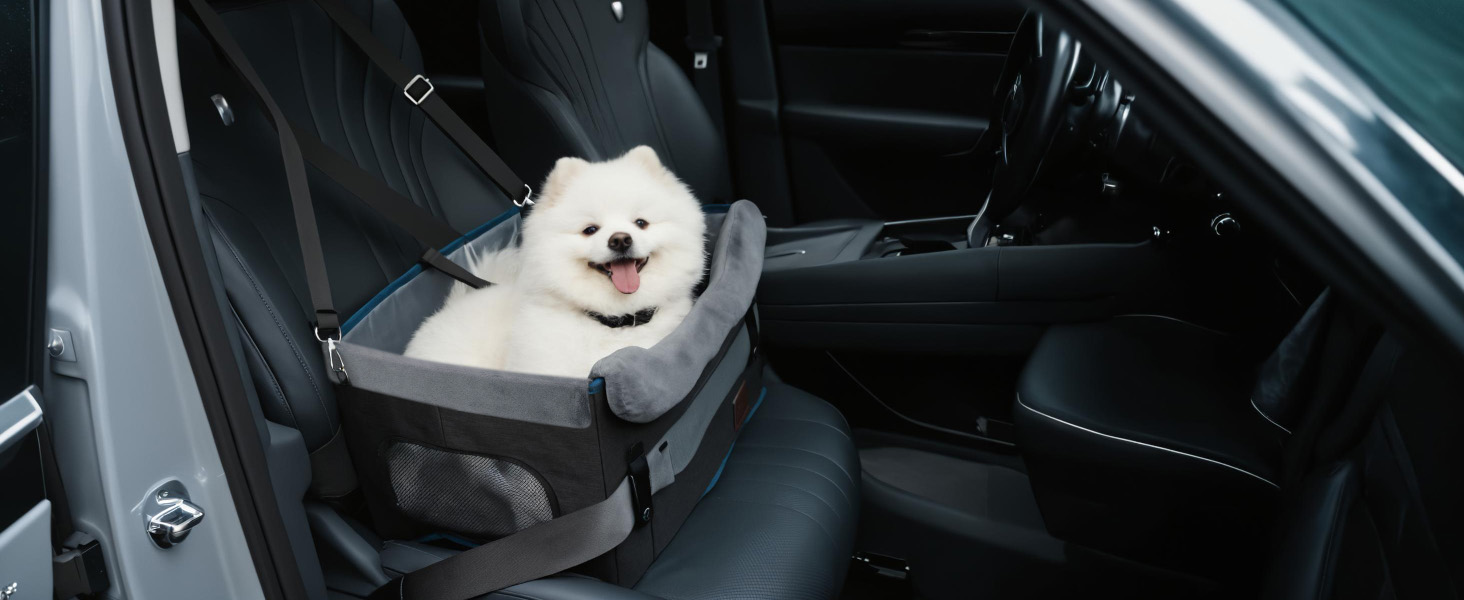 dog car seat