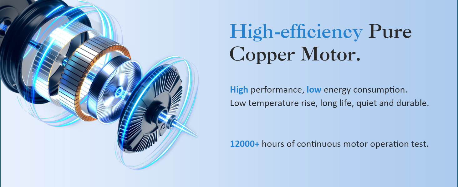 high efficiency motor