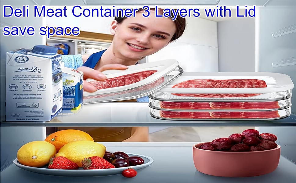 lunch meat container for refrigerator deli meat container for fridge lunch meat container for refrig