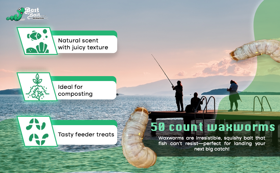 Waxworms Fishing Bait Feeder Insects Reptile Food Live Worms Amphibian Food