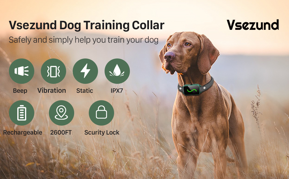 Vsezund Dog Shock Collar for 2 Dogs, Rechargeable Dog Training Collar with Vibration