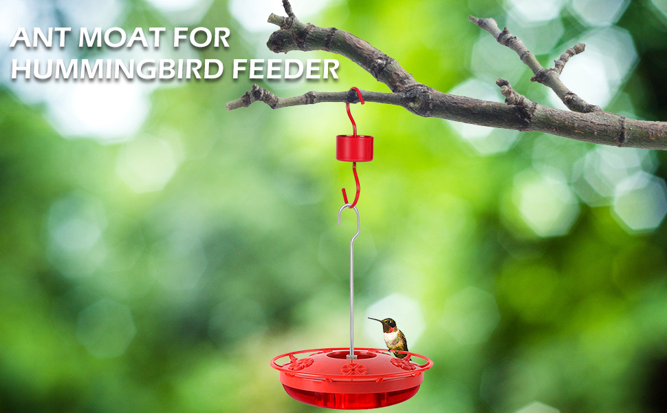 Metal Ant Moat for Hummingbird Feeders, Red Hummingbird