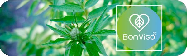 BonVigo Marke für Naturkunde Pflanzenextrakte vegan