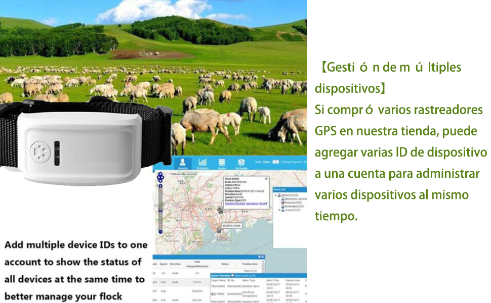 localizador gps cães