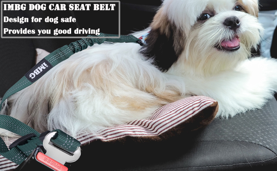 dog car seat belt 