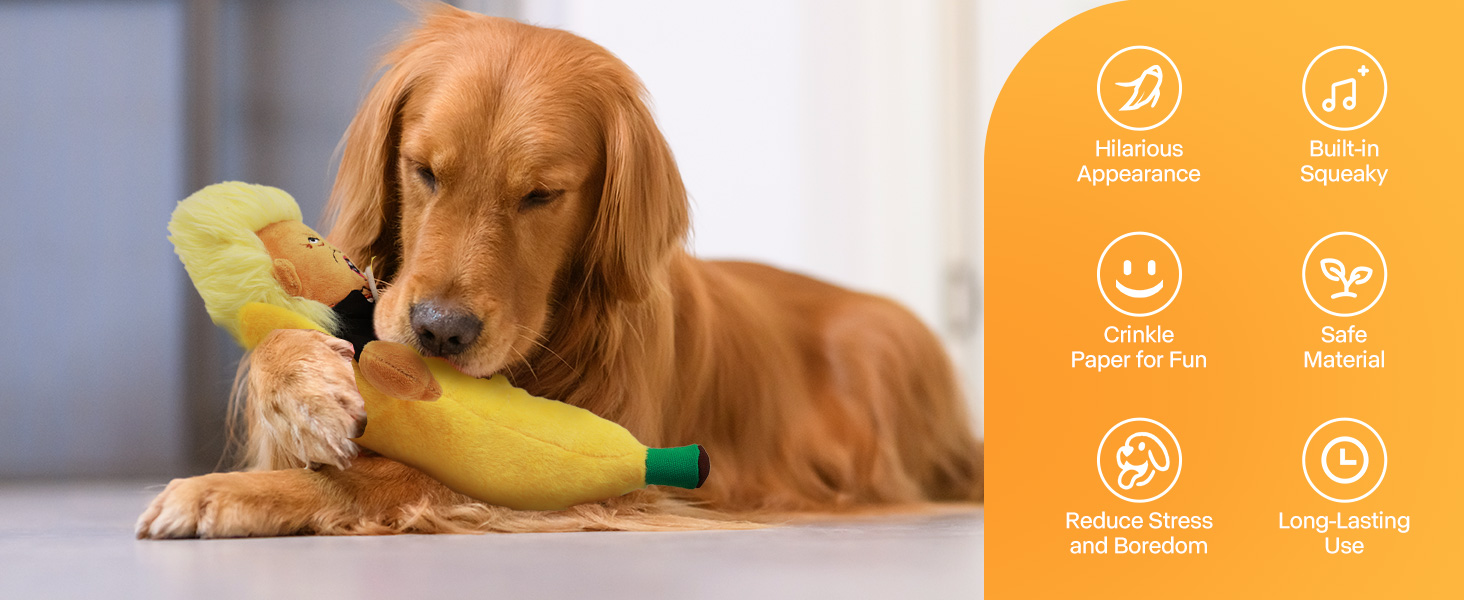 dog interactive toy