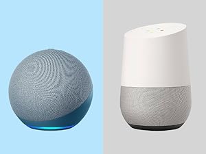 alexa google home