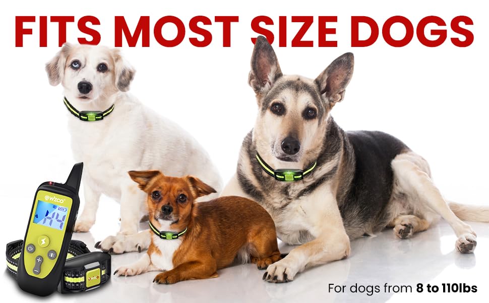 Wizco Remote Control Barking Training Collar with Safety