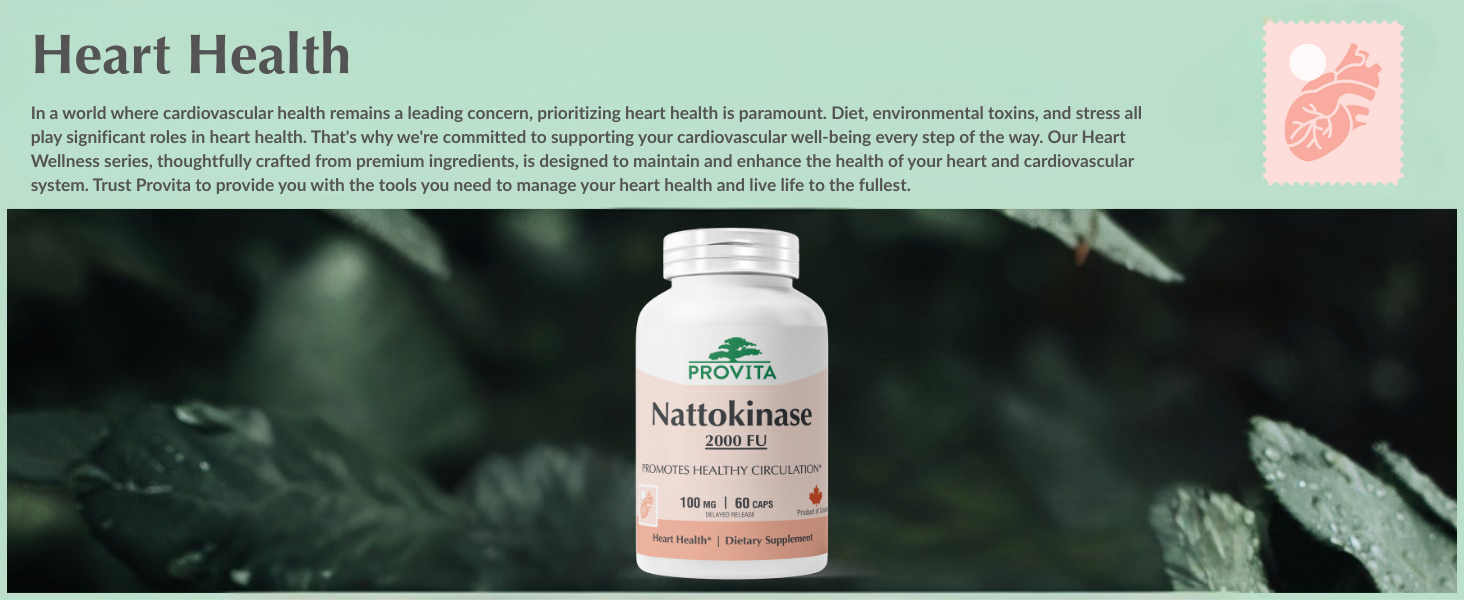Provita Nattokinase