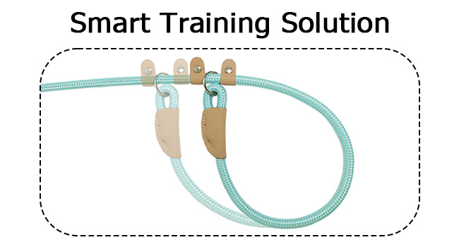 slip leads for dog
