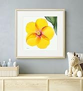 絵画（額つき） Amazon.co.jp: 絵画「オレンジ色の花」インテリア 絵 花 アート