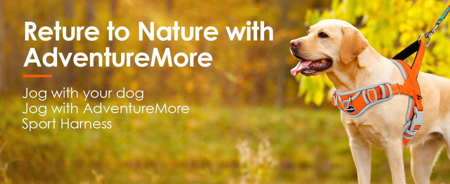 ADVENTUREMORE Dog Harness for Small Dogs No Pull, Dog Halter Harness