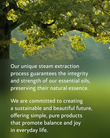 essential oils for diffuser