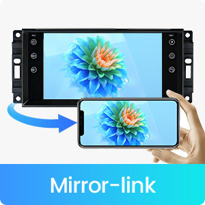 support mirrorlink