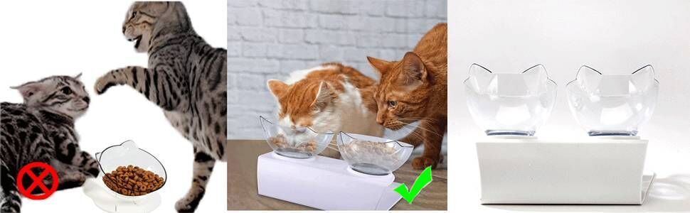 Double Cat Bowl with Raised Stand, Cat Bowl Pet Food Feeder,15° Tilted Anti-Slip Transparent Cat Food and Water Bowl, Protect Pets Cervical Vertebra, Detachable Pet Bowl for Cats and Dogs 13 1