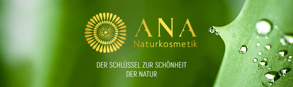 ANA logo