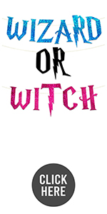 Wizard or Witch Banner