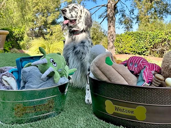 Metal dog toy bins with personalized name for your dog.