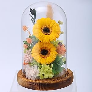 Amazon | norhor ひまわり プリザーブドフラワー ヒマワリ