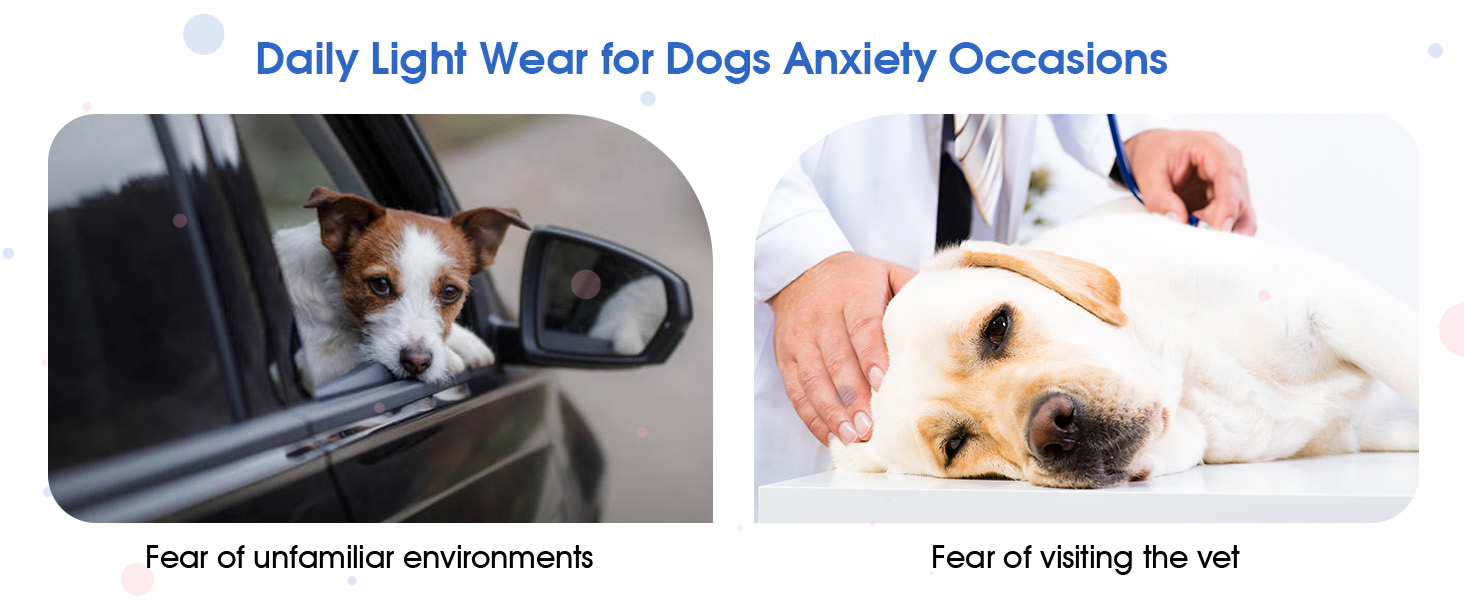 separation anxiety vest for dogs