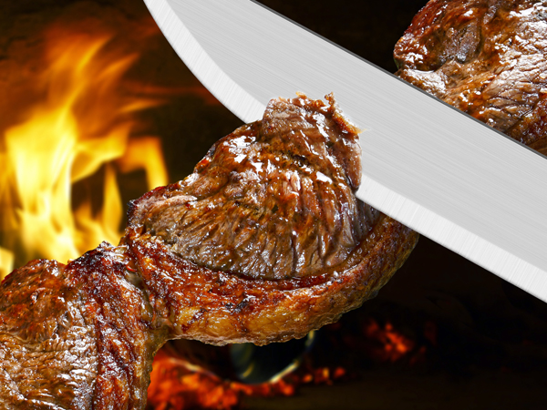 All-purpose BBQ knife